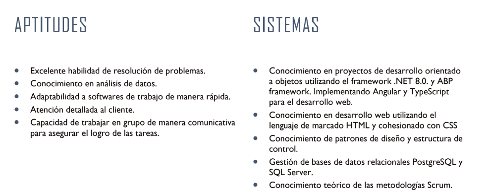 CV Preview